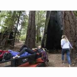 Disc-O-Bed, Large, With 2 Organizers -Campingworld Shop 110804 6