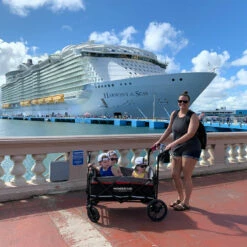 Wonderfold Outdoor X4 Push And Pull Stroller Wagon With Canopy -Campingworld Shop 383627 NAVY 9