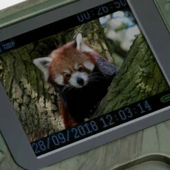 Technaxx TX-117 Mini Nature Wild Camera 10 Technaxx TX-117 Mini Nature Wild Camera -Campingworld Shop 384552 4