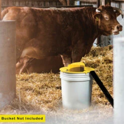 RinneTraps Flip 'N Slide Mouse Trap 2-Pack – Camping World Exclusive! -Campingworld Shop 384553 5